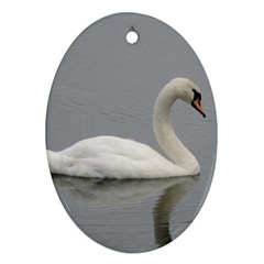 Swimming White Swan Oval Ornament (two Sides) by picsaspassion