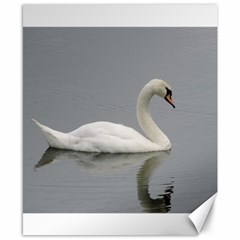 Swimming White Swan Canvas 8  X 10 