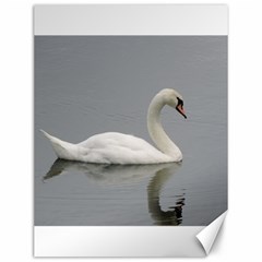 Swimming White Swan Canvas 12  X 16   by picsaspassion