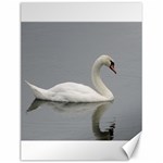 Swimming white Swan Canvas 12  x 16   11.86 x15.41  Canvas - 1