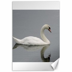 Swimming White Swan Canvas 12  X 18  