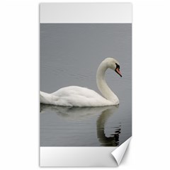 Swimming White Swan Canvas 40  X 72  