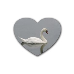 Swimming White Swan Heart Coaster (4 Pack) 