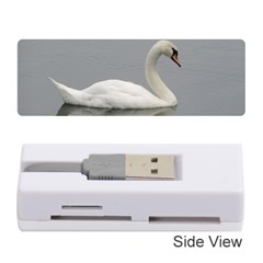 Swimming White Swan Memory Card Reader (stick) 