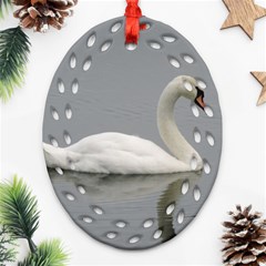 Swimming White Swan Ornament (oval Filigree) 