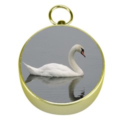 Swimming White Swan Gold Compasses by picsaspassion