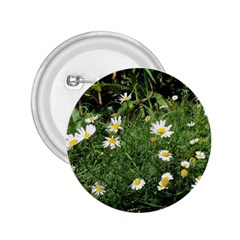 Wild Daisy Summer Flowers 2 25  Buttons