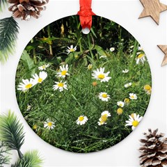 Wild Daisy Summer Flowers Ornament (round) 