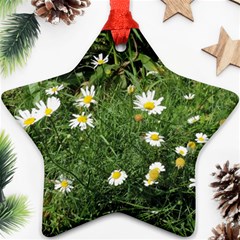 Wild Daisy Summer Flowers Ornament (star) 