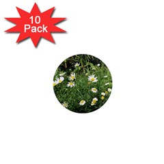 Wild Daisy Summer Flowers 1  Mini Magnet (10 Pack) 