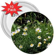 Wild Daisy Summer Flowers 3  Buttons (10 Pack) 