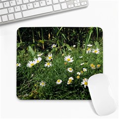 Wild Daisy Summer Flowers Large Mousepads