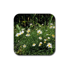 Wild Daisy Summer Flowers Rubber Coaster (square)  by picsaspassion