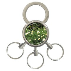 Wild Daisy Summer Flowers 3-ring Key Chains