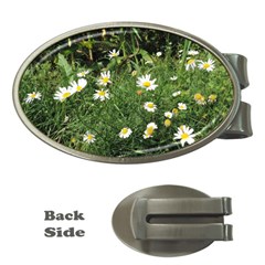 Wild Daisy Summer Flowers Money Clips (oval) 