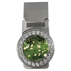 Wild Daisy Summer Flowers Money Clips (cz) 