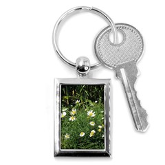 Wild Daisy Summer Flowers Key Chains (rectangle)  by picsaspassion