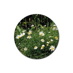 Wild Daisy Summer Flowers Rubber Round Coaster (4 Pack) 