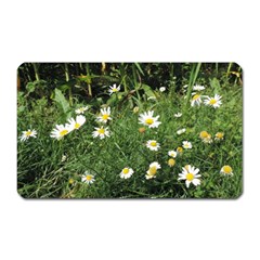 Wild Daisy Summer Flowers Magnet (rectangular)