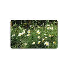 Wild Daisy Summer Flowers Magnet (name Card)