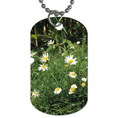 Wild Daisy Summer Flowers Dog Tag (one Side) by picsaspassion