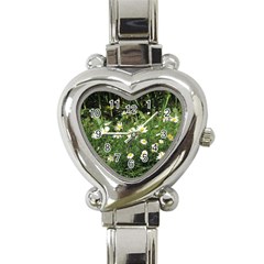 Wild Daisy Summer Flowers Heart Italian Charm Watch by picsaspassion