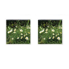 Wild Daisy Summer Flowers Cufflinks (square)