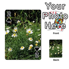 Wild Daisy Summer Flowers Playing Cards 54 Designs  by picsaspassion