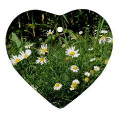 Wild Daisy Summer Flowers Heart Ornament (2 Sides)