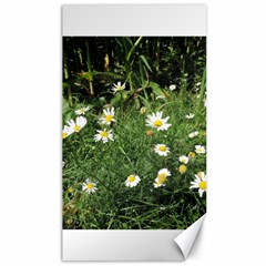 Wild Daisy Summer Flowers Canvas 40  X 72  