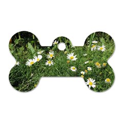 Wild Daisy Summer Flowers Dog Tag Bone (two Sides) by picsaspassion