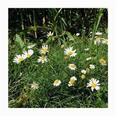 Wild Daisy Summer Flowers Medium Glasses Cloth (2-side)