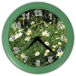 Wild Daisy summer Flowers Color Wall Clocks Front