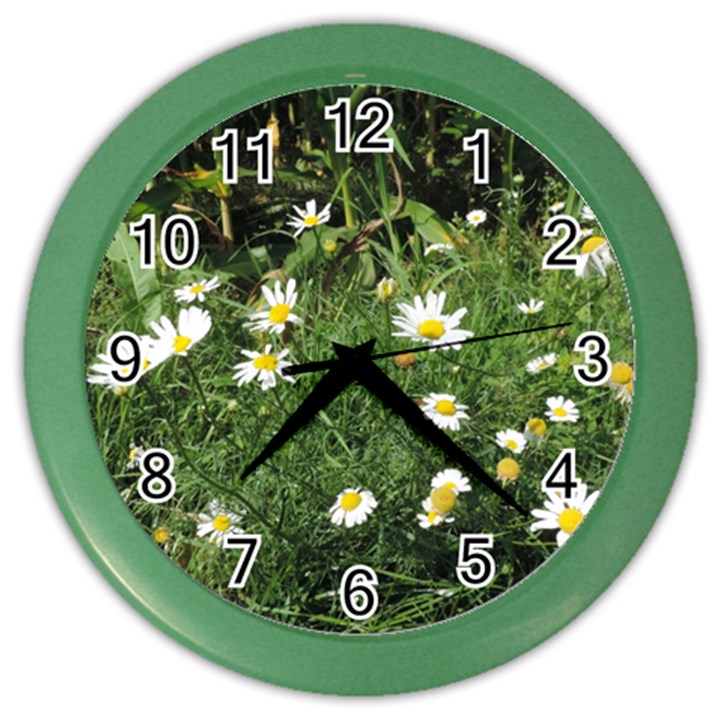 Wild Daisy summer Flowers Color Wall Clocks