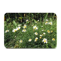 Wild Daisy Summer Flowers Plate Mats