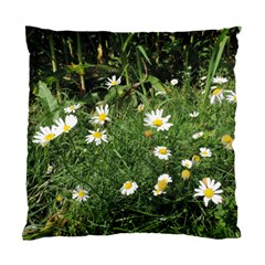 Wild Daisy Summer Flowers Standard Cushion Case (one Side)