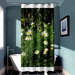 Wild Daisy Summer Flowers Shower Curtain 36  X 72  (stall) 