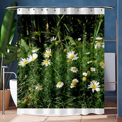 Wild Daisy Summer Flowers Shower Curtain 60  X 72  (medium) 