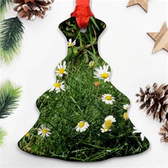 Wild Daisy Summer Flowers Ornament (christmas Tree)