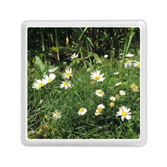 Wild Daisy Summer Flowers Memory Card Reader (square) 