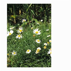 Wild Daisy Summer Flowers Small Garden Flag (two Sides)