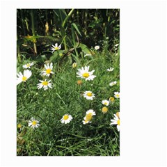 Wild Daisy Summer Flowers Large Garden Flag (two Sides)