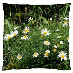 Wild Daisy Summer Flowers Large Cushion Case (one Side)