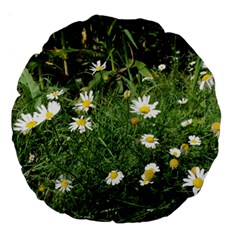 Wild Daisy Summer Flowers Large 18  Premium Round Cushions