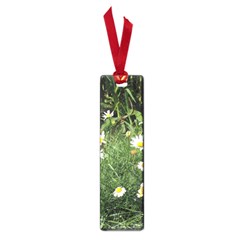 Wild Daisy Summer Flowers Small Book Marks