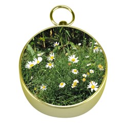 Wild Daisy Summer Flowers Gold Compasses