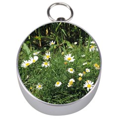 Wild Daisy Summer Flowers Silver Compasses by picsaspassion