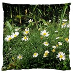 Wild Daisy summer Flowers Large Flano Cushion Case (One Side) Front