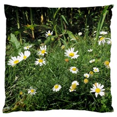 Wild Daisy Summer Flowers Large Flano Cushion Case (two Sides)