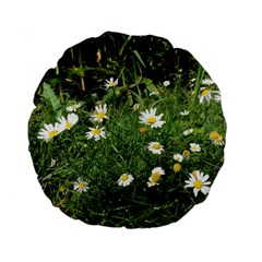 Wild Daisy Summer Flowers Standard 15  Premium Flano Round Cushions